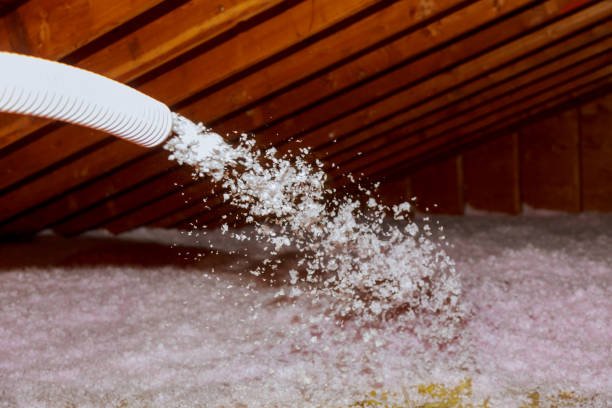 Best Cellulose Insulation in Kearns, UT
